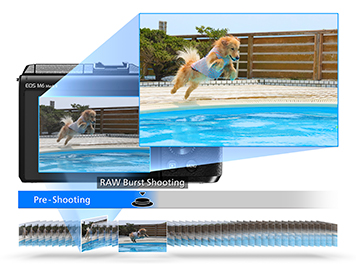  The camera captures just the moment when a dog jumps into a pool, with continuous shot modes  